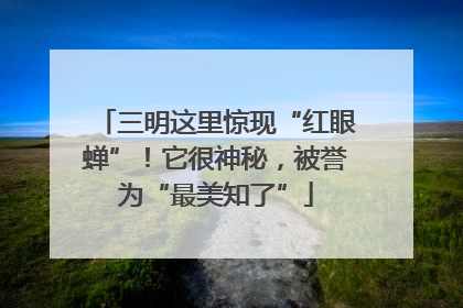 三明这里惊现“红眼蝉”！它很神秘，被誉为“最美知了”