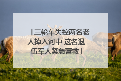 三轮车失控两名老人掉入河中 这名退伍军人紧急营救