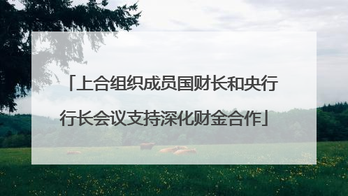 上合组织成员国财长和央行行长会议支持深化财金合作