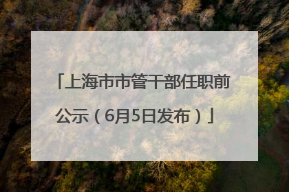 上海市市管干部任职前公示（6月5日发布）
