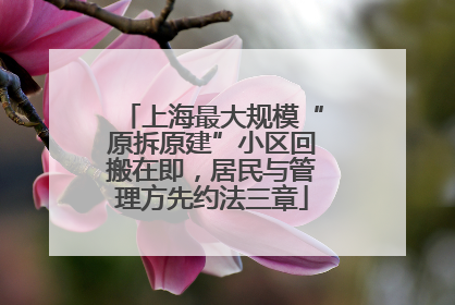 上海最大规模“原拆原建”小区回搬在即，居民与管理方先约法三章