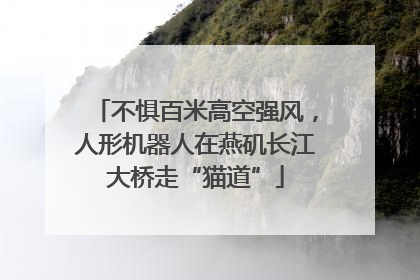 不惧百米高空强风，人形机器人在燕矶长江大桥走“猫道”
