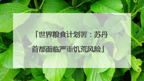 世界粮食计划署：苏丹首都面临严重饥荒风险