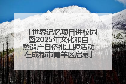 世界记忆项目进校园暨2025年文化和自然遗产日侨批主题活动在成都市青羊区启幕