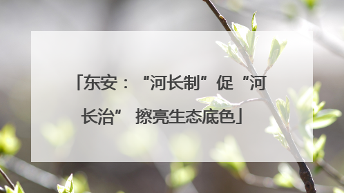 东安：“河长制”促“河长治” 擦亮生态底色