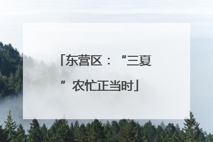 东营区：“三夏”农忙正当时