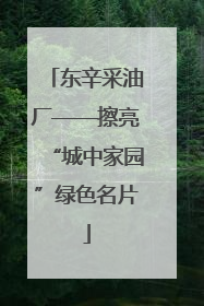 东辛采油厂——擦亮“城中家园”绿色名片