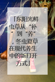 东阳光鲜虫草从“补”到“养”，冬虫夏草在现代养生中的新打开方式