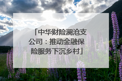 中华财险澜沧支公司：推动金融保险服务下沉乡村