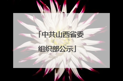中共山西省委组织部公示