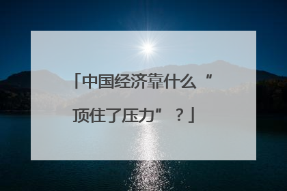 中国经济靠什么“顶住了压力”？