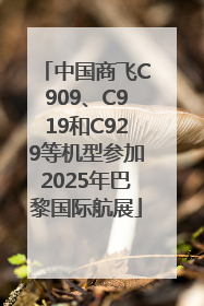 中国商飞C909、C919和C929等机型参加2025年巴黎国际航展