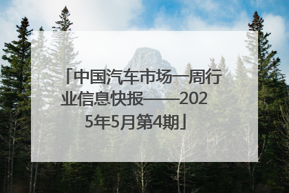 中国汽车市场一周行业信息快报——2025年5月第4期