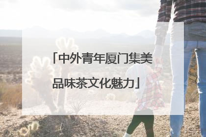 中外青年厦门集美品味茶文化魅力