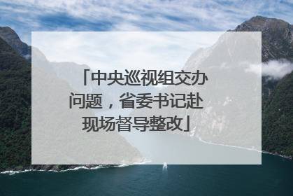 中央巡视组交办问题，省委书记赴现场督导整改