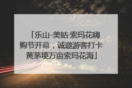 乐山-美姑·索玛花嗨购节开幕，诚邀游客打卡黄茅埂万亩索玛花海