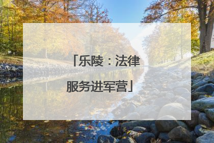 乐陵：法律服务进军营