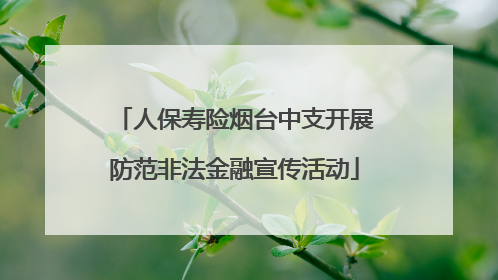 人保寿险烟台中支开展防范非法金融宣传活动