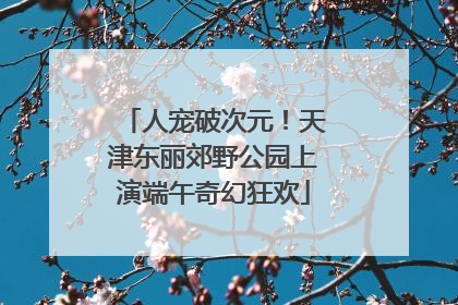 人宠破次元！天津东丽郊野公园上演端午奇幻狂欢