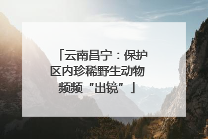 云南昌宁：保护区内珍稀野生动物频频“出镜”