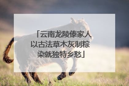 云南龙陵傣家人以古法草木灰制粽 染就独特乡愁