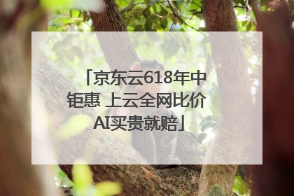 京东云618年中钜惠 上云全网比价 AI买贵就赔