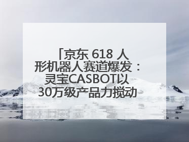 京东 618 人形机器人赛道爆发：灵宝CASBOT以30万级产品力搅动行业新变局