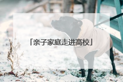 亲子家庭走进高校