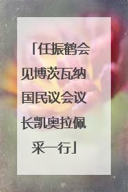 任振鹤会见博茨瓦纳国民议会议长凯奥拉佩采一行