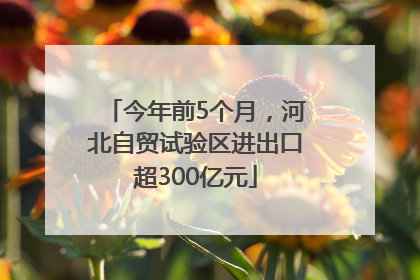 今年前5个月，河北自贸试验区进出口超300亿元