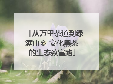 从万里茶道到绿满山乡 安化黑茶的生态致富路