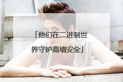 他们在二进制世界守护高墙安全