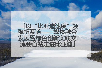 以“比亚迪速度”领跑新赛道——媒体融合发展暨绿色创新实践交流会首站走进比亚迪