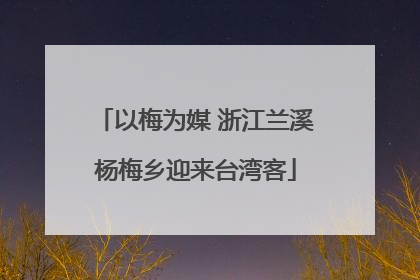 以梅为媒 浙江兰溪杨梅乡迎来台湾客