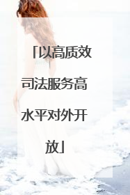 以高质效司法服务高水平对外开放