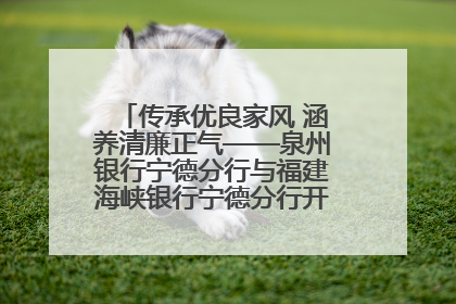传承优良家风 涵养清廉正气——泉州银行宁德分行与福建海峡银行宁德分行开展主题党日活动