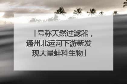 号称天然过滤器，通州北运河下游新发现大量蚌科生物
