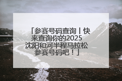 参赛号码查询丨快来查询你的2025沈阳和河半程马拉松参赛号码吧！