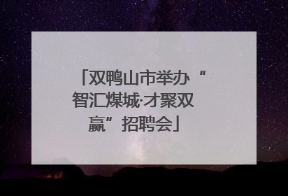 双鸭山市举办“智汇煤城·才聚双赢”招聘会
