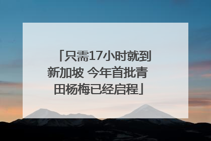 只需17小时就到新加坡 今年首批青田杨梅已经启程