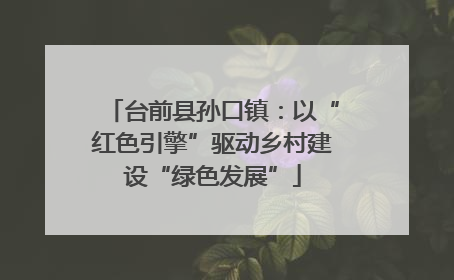 台前县孙口镇:以“红色引擎”驱动乡村建设“绿色发展”