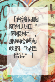 台湾同胞随州共植“同根林”，那是跨越海峡的“绿色情诗”