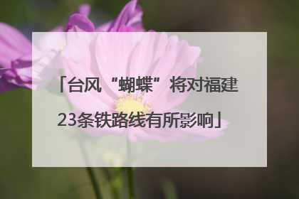 台风“蝴蝶”将对福建23条铁路线有所影响