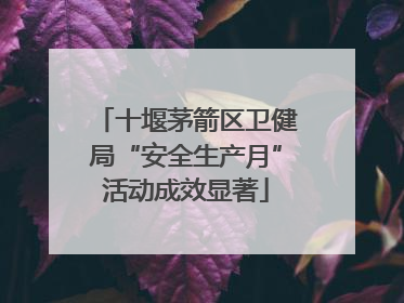 十堰茅箭区卫健局“安全生产月”活动成效显著