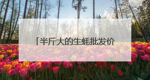 半斤大的生蚝批发价2元/只，杭州这里日出50000斤