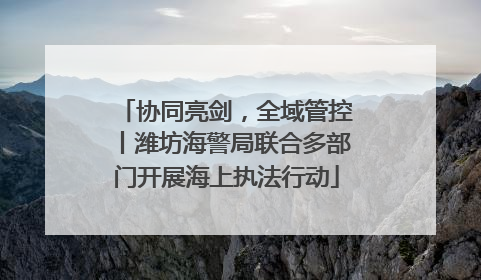 协同亮剑，全域管控丨潍坊海警局联合多部门开展海上执法行动