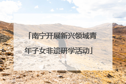 南宁开展新兴领域青年子女非遗研学活动