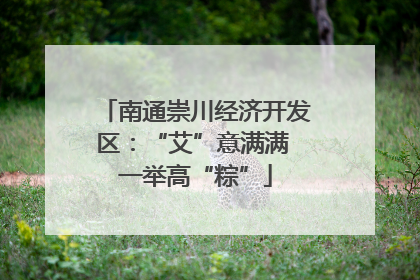 南通崇川经济开发区：“艾”意满满 一举高“粽”