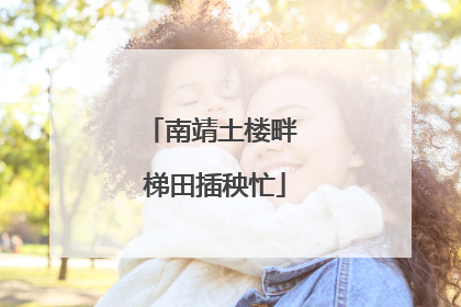 南靖土楼畔 梯田插秧忙