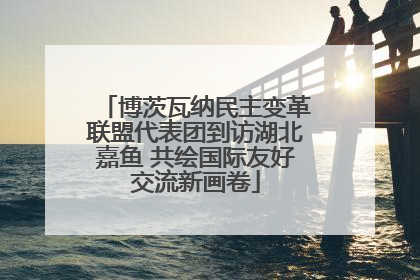博茨瓦纳民主变革联盟代表团到访湖北嘉鱼 共绘国际友好交流新画卷